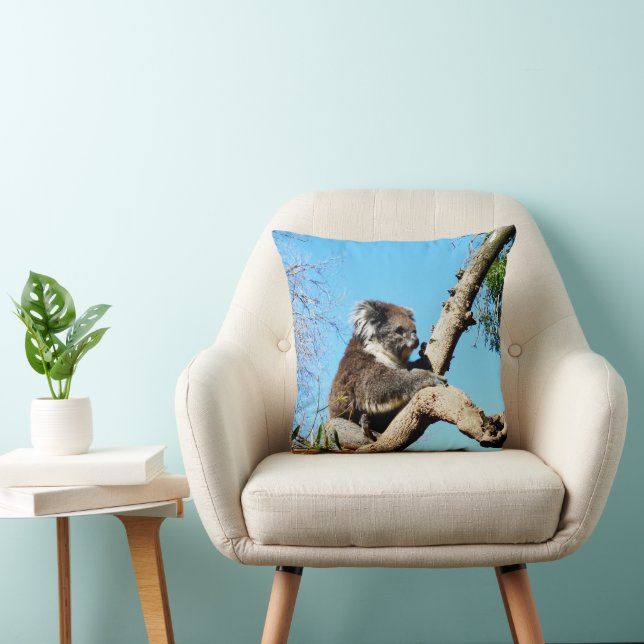 Koala Bear In Old Pine Tree,  Throw Pillow (Chair)