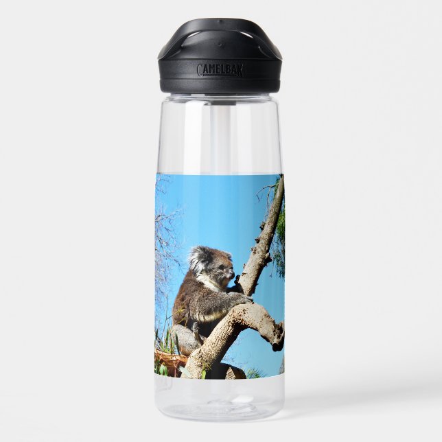 Koala Bear In Old Pine Tree,  Water Bottle (Back)