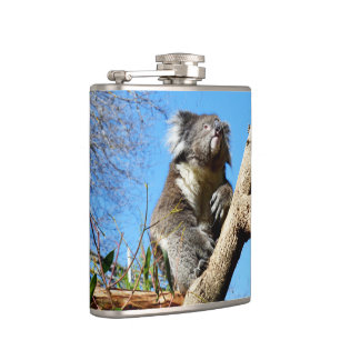Koala Bear In Old Tree, Hip Flask