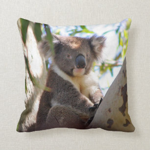 Koala Bear in Tree Decorative Animal Throw Pillow