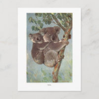 Koala Bear in Tree illustration