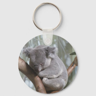 koala bear keychain