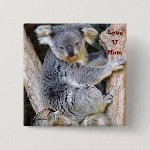 Koala Bear Love_ 2 Inch Square Button