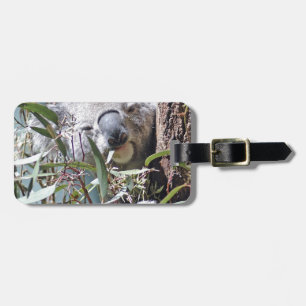 Koala bear luggage tag
