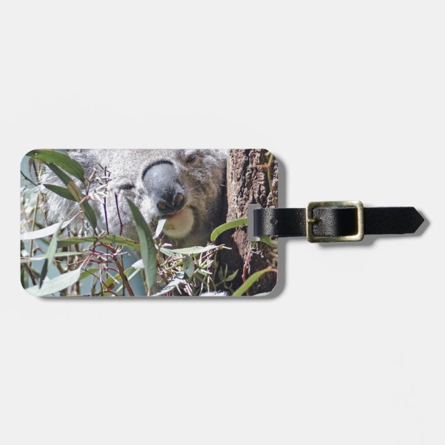 Koala bear luggage tag (Front Horizontal)