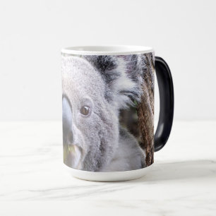 Koala Bear Magic Mug