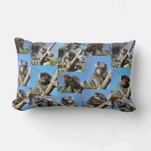 Koala Bear Photo Collage, Lumbar Pillow