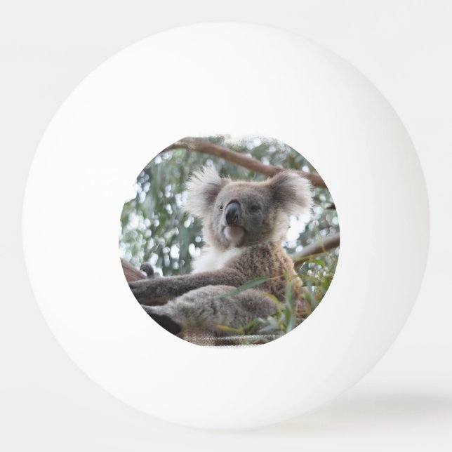Koala Bear Ping Pong Ball (Front)
