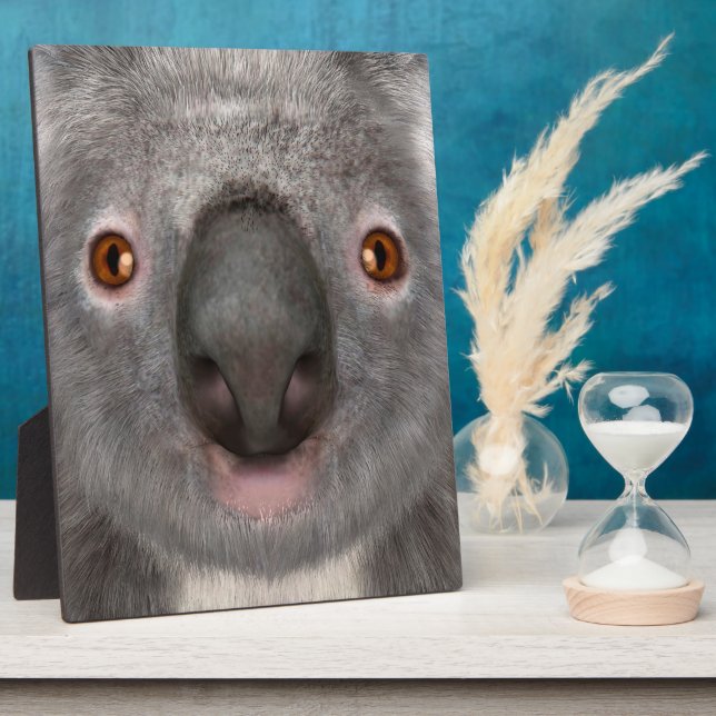 Koala Bear Plaque (Side)