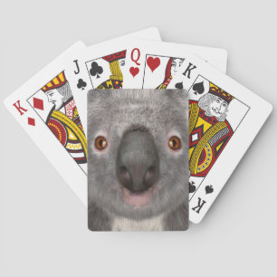 Koala Bear Playing Cards