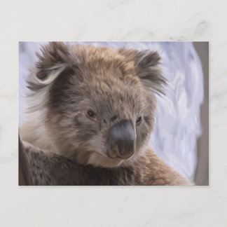 Koala Bear Postcard
