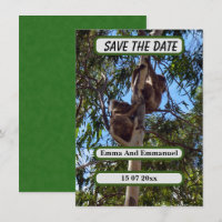 Koala Bear Save The Date Australia Style,