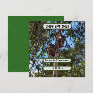 Koala Bear Save The Date Australia Style, Announcement