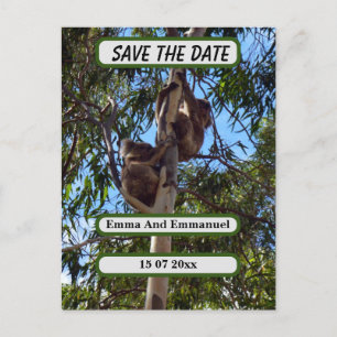 Koala Bear Save The Date Australia Style, Announcement Postcard