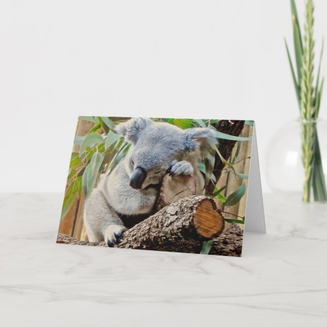 Koala Bear Sleeping Get Well Card (Front)