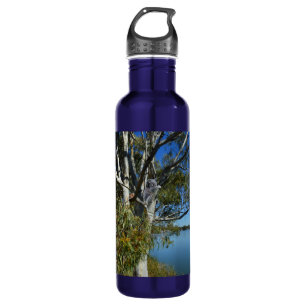 Koala Bear Sleeping In Gum Tree, 710 Ml Water Bottle