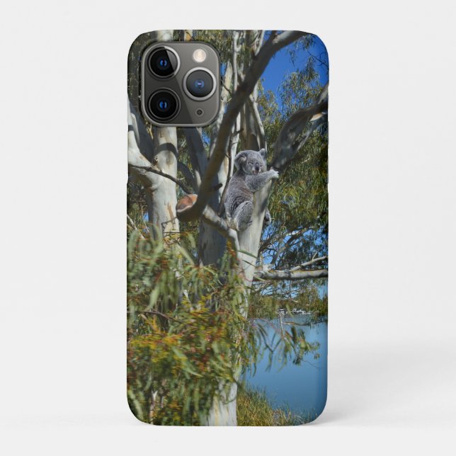 Koala Bear Sleeping In Gum Tree, Case-Mate iPhone Case (Back)
