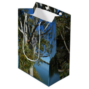 Koala Bear Sleeping In Gum Tree, Medium Gift Bag