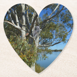 Koala Bear Sleeping In Gum Tree, Paper Coaster