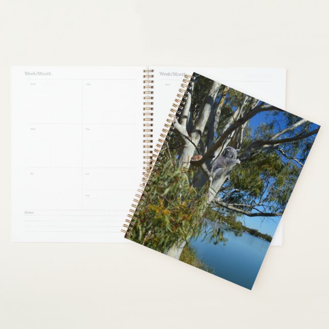 Koala Bear Sleeping In Gum Tree, Planner (Display)