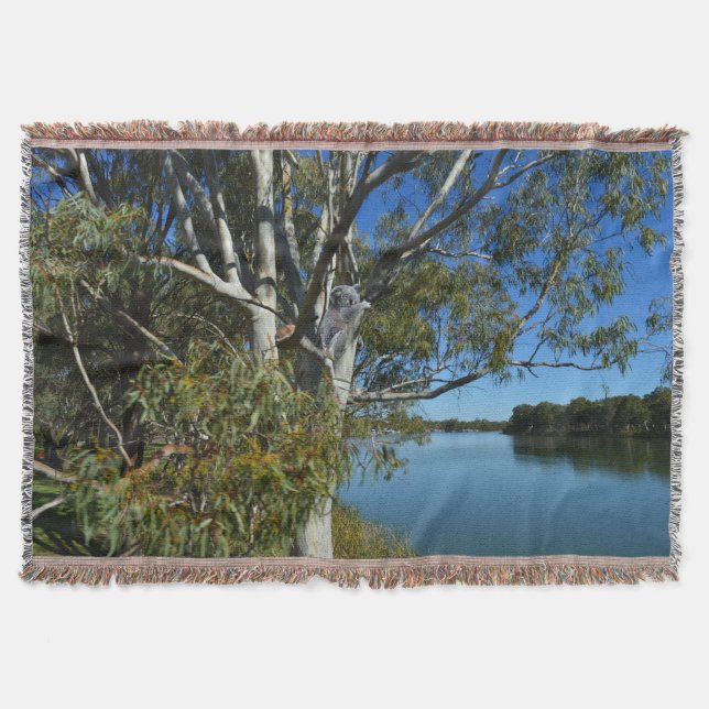 Koala Bear Sleeping In Gum Tree, Throw Blanket (Front)