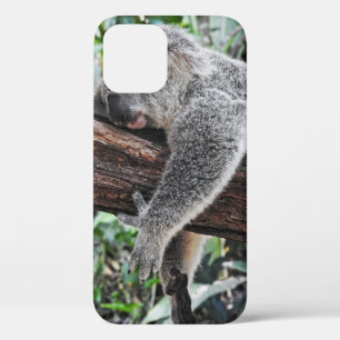 KOALA BEAR SLEEPING ON TREE iPhone 12 CASE