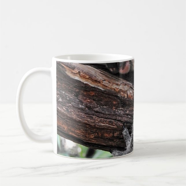 KOALA BEAR SLEEPING ON TREE COFFEE MUG (Left)
