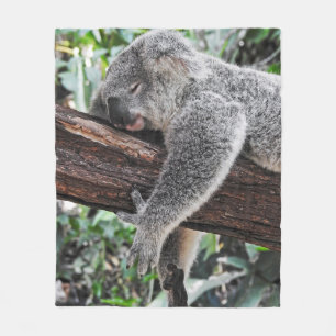 KOALA BEAR SLEEPING ON TREE FLEECE BLANKET