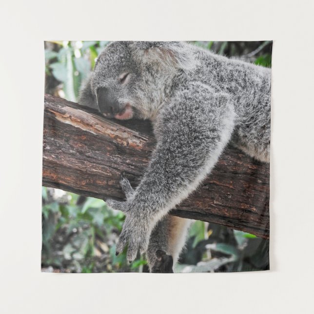 KOALA BEAR SLEEPING ON TREE TAPESTRY (Front)