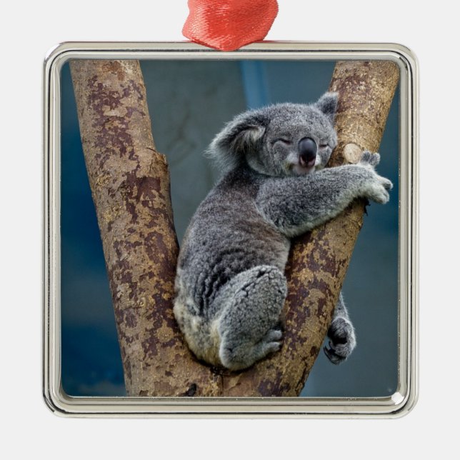 Koala Bear Sleeps Hugging A Tree Metal Ornament (Front)