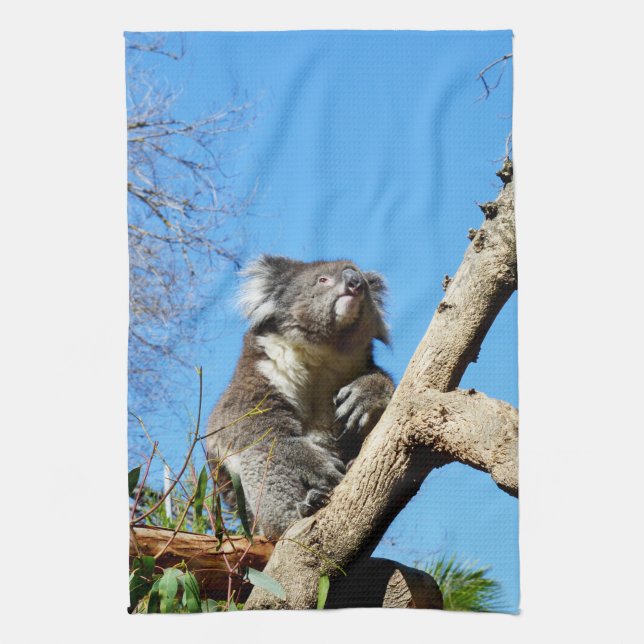 Koala Bear Time To Reflect On Life,  Kitchen Towel (Vertical)