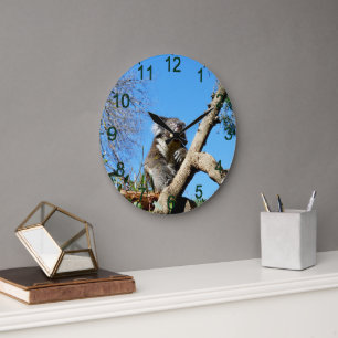 Koala Bear Time To Reflect On Life, Large Clock