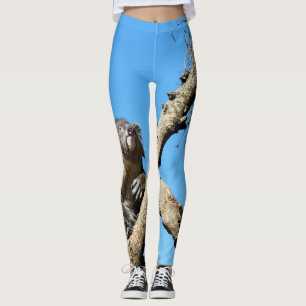 Koala Bear Time To Reflect On Life, Leggings