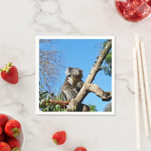 Koala Bear Time To Reflect On Life, Napkin