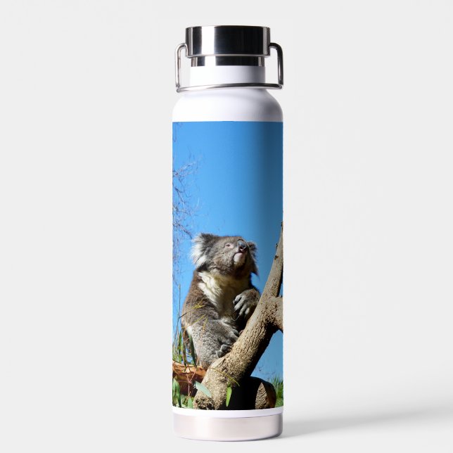 Koala Bear Time To Reflect On Life,  Water Bottle (Back)