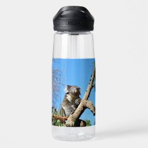 Koala Bear Time To Reflect On Life, Water Bottle