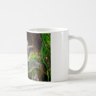 Koala Bears Aussi Outback Destiny Nature Coffee Mug