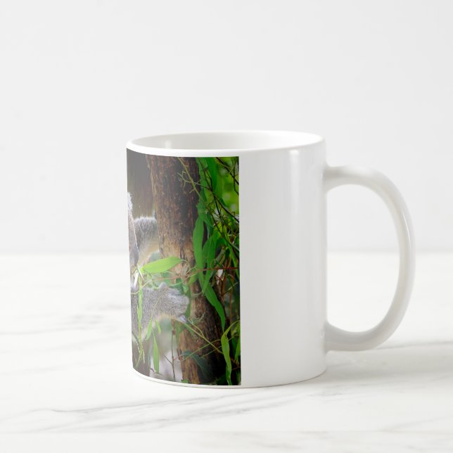 Koala Bears Aussi Outback Destiny Nature Coffee Mug (Right)