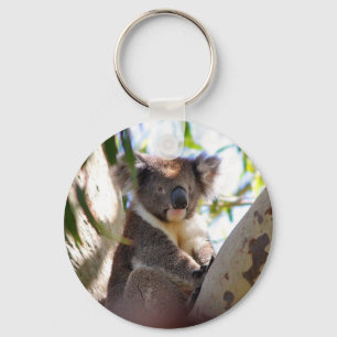 Koala Bears Aussi Outback Destiny Nature Keychain