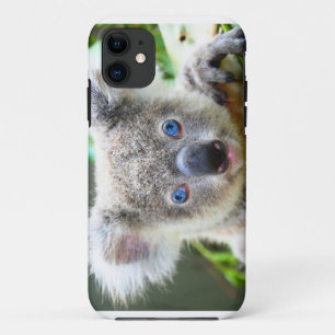 Koala Bears iPhone 11 Case