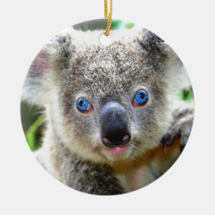 Koala Bears Ceramic Ornament
