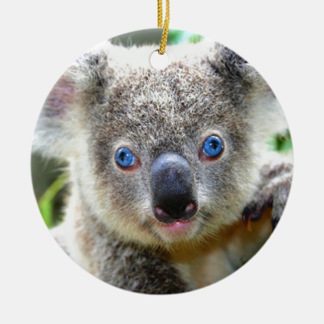 Koala Bears Ceramic Ornament (Front)