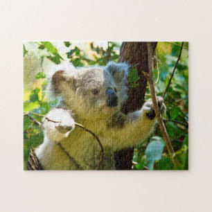 Koala Bears. Jigsaw Puzzle