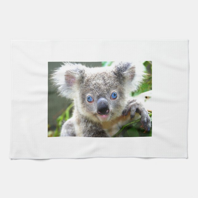 Koala Bears Kitchen Towel (Horizontal)