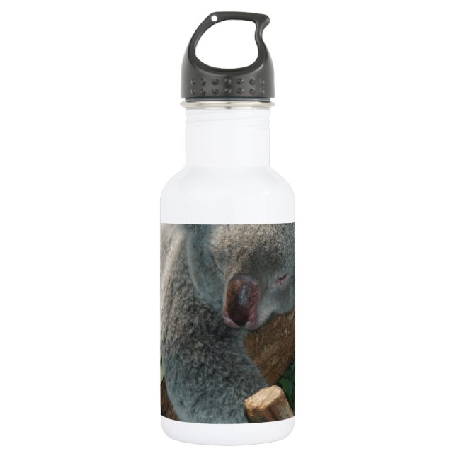 Koala Bears Love Animals Destiny 532 Ml Water Bottle (Front)
