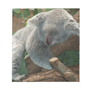 Koala Bears Love Animals Destiny Gifts Notepad