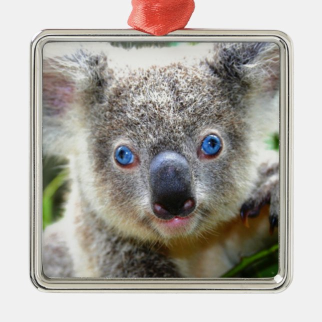 Koala Bears Metal Ornament (Front)