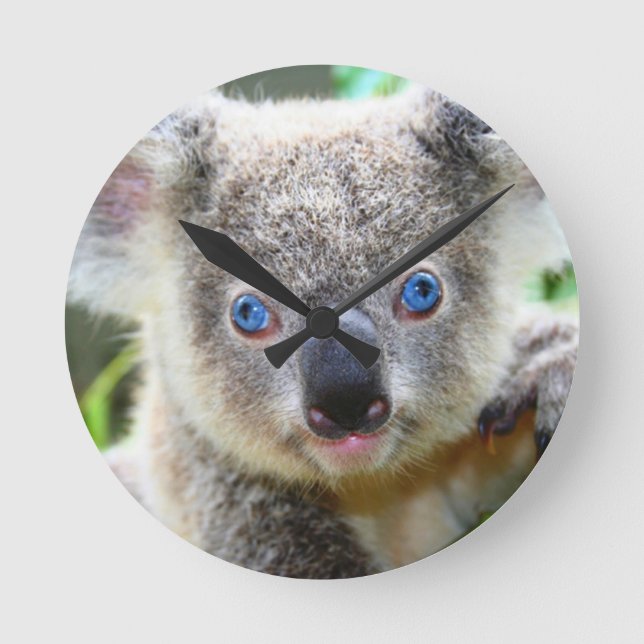 Koala Bears Round Clock (Front)