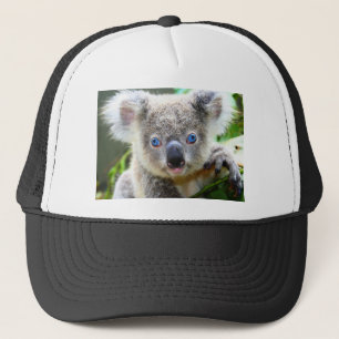 Koala Bears Trucker Hat