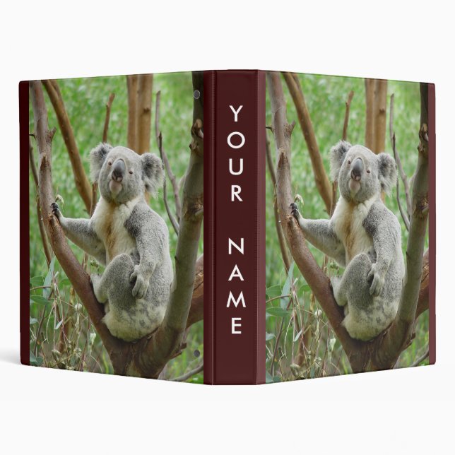 Koala Binder (Background)